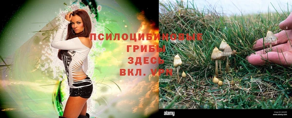 кокаин премиум Пересвет