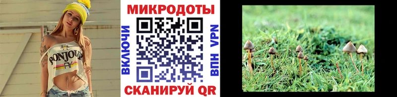 купить наркоту Харабали Псилоцибиновые грибы мицелий