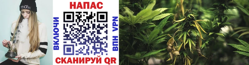 Шишки марихуана SATIVA & INDICA где можно купить Харабали